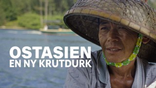 Dokument utifrån: Ostasien - en ny krutdurk