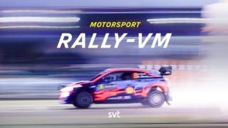 Rally-VM