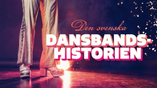 Den svenska dansbandshistorien