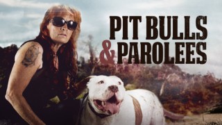 Pit Bulls & Parolees