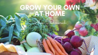 Grow Your Own at Home With Alan Titchmarsh