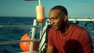 Shark Beach with Anthony Mackie: Gulf Coast