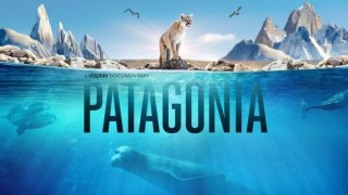 Patagonia: Life on the Edge of the World