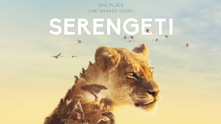 Serengeti