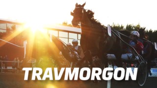 Travmorgon