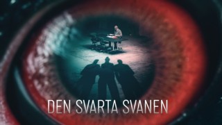 Den svarta svanen