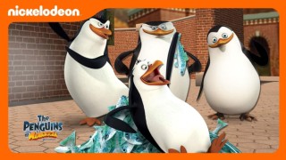 Pingvinerna från Madagaskar