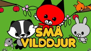 Små vilddjur