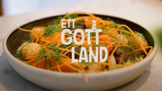 Ett Gott Land