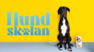Hundskolan