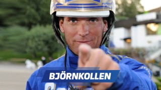 Björnkollen