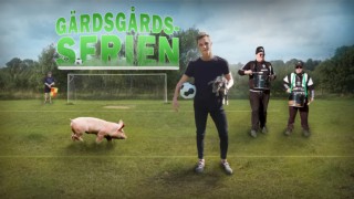 Gärdsgårdsserien
