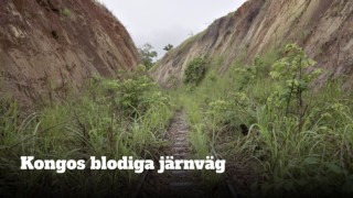 Kongos blodiga järnväg
