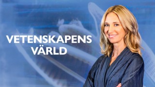 Vetenskapens värld
