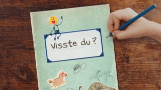 Visste du?