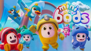 Minibods