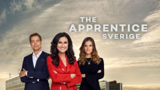 The Apprentice Sverige