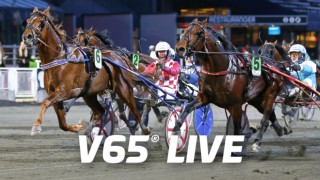 V65 Live