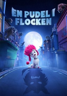 En pudel i flocken