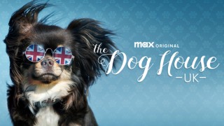 The Dog House
