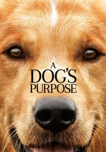 A Dog's Purpose