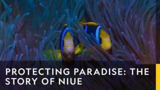 Protecting paradise: the story of niue