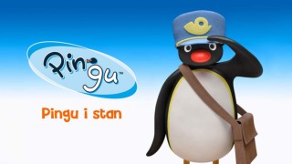 Pingu i stan