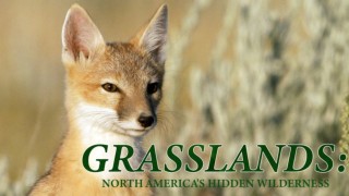 Grasslands: North America's Hidden Wilderness