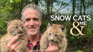 Snow Cats and Me