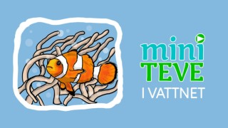 Miniteve: I vattnet