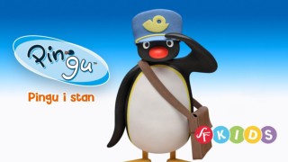 Pingu i stan
