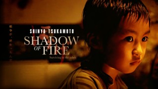 Shadow of Fire