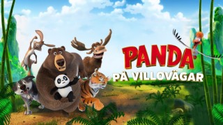 Panda på villovägar