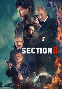 Section 8