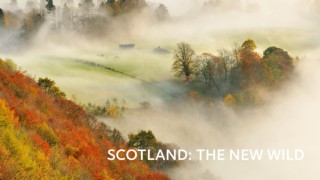 Scotland: The New Wild