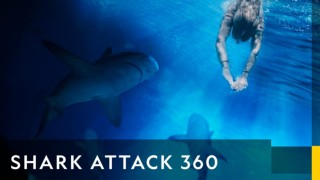 Shark attack 360