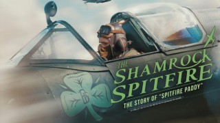 The Shamrock Spitfire