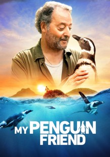 My Penguin Friend