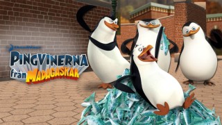 Pingvinerna från Madagaskar