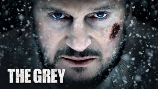 The Grey