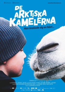 De arktiska kamelerna