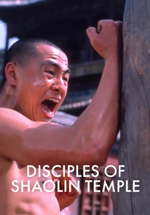 Disciples of Shaolin Temple