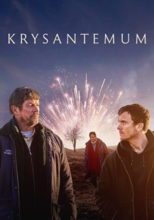 Krysantemum