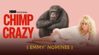 Chimp Crazy