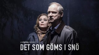 Det som göms i snö