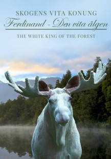 Skogens vita konung - Ferdinand den vita älgen