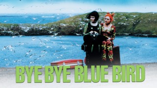 Bye Bye Blue Bird
