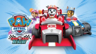 Paw Patrol: Redo, racea, rädda!