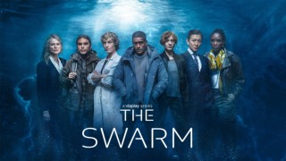 The Swarm