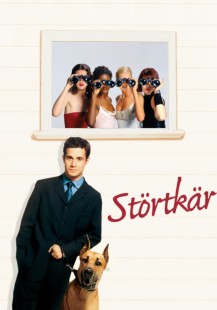 Störtkär